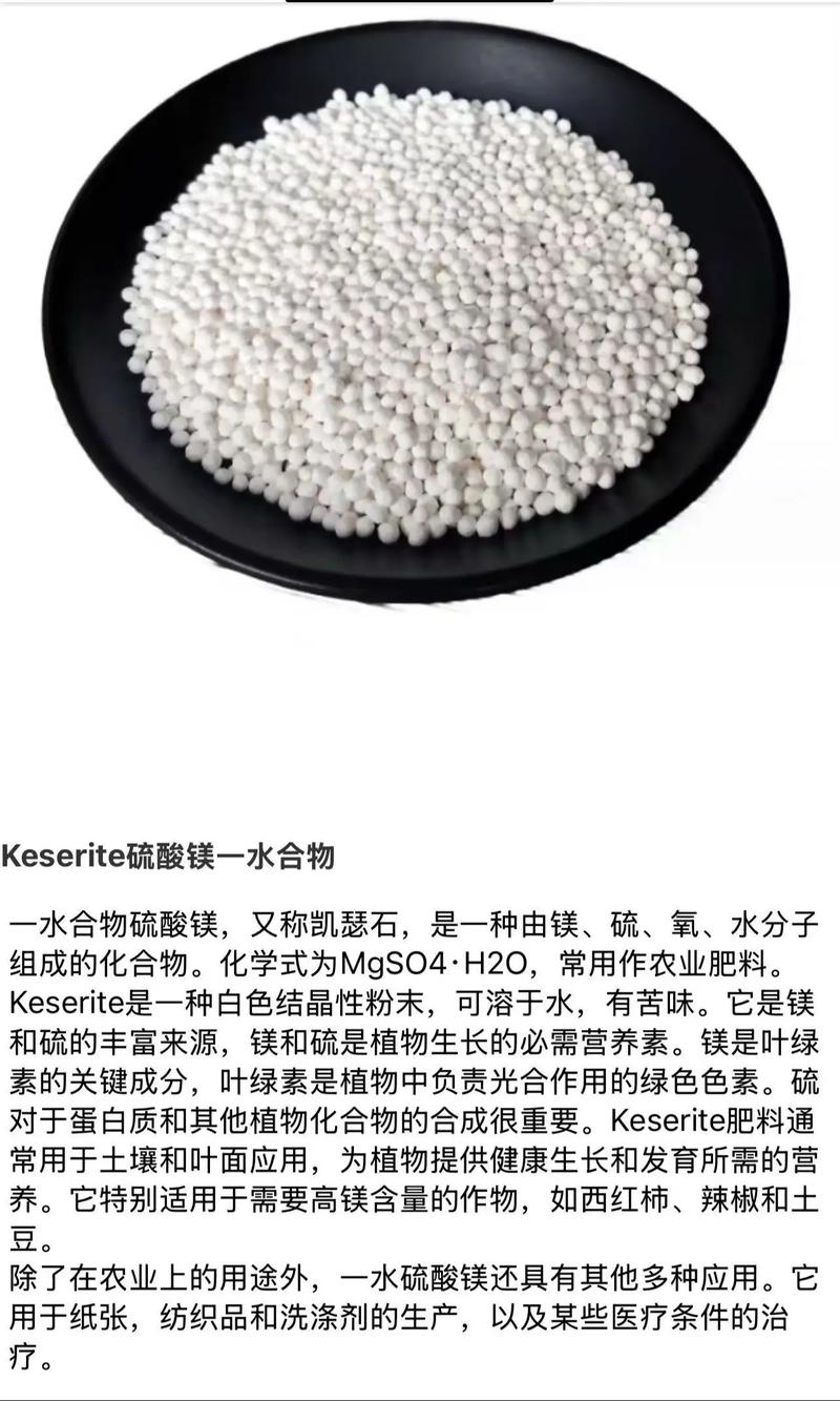 化工原料出口的现状与未来发展策略